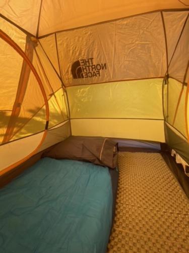 纳塔列斯港Camping Yellow Plum的内置的小帐篷