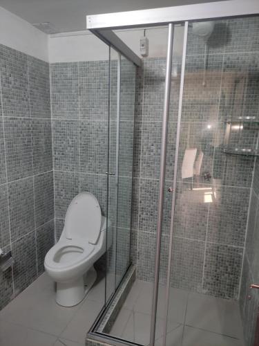 VillamontesHotel Tuunteytas的一间带卫生间和淋浴的浴室