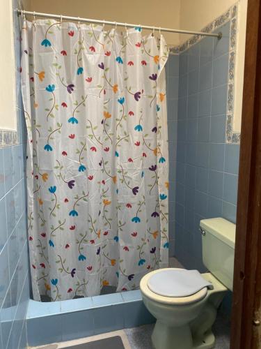 伊基托斯Casa Mafaldo的一间带卫生间和淋浴帘的浴室