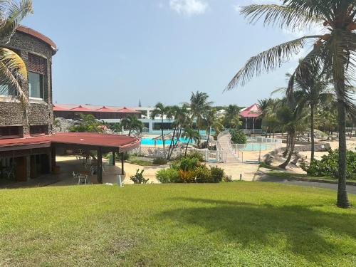 圣弗朗索瓦Good Mood Studio - Manganao Hôtel的享有带游泳池和棕榈树的度假村的景致