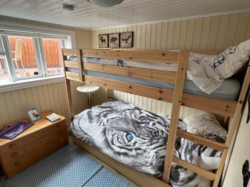 斯蒂克松鲁姆Garður restored house的一间卧室配有两张双层床和老虎毛毯