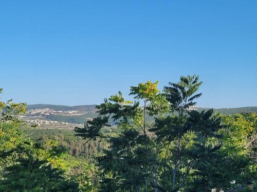 马阿洛特塔施哈הבית באשכולות的一组背景蓝天的树