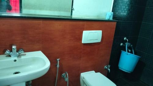 耶拉吉里Tulips Misty hights 2BHK villa的一间带水槽、卫生间和镜子的浴室