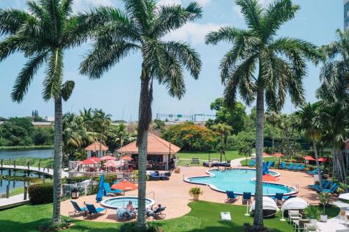 西棕榈滩Hilton Palm Beach PBI的棕榈树度假村的游泳池景