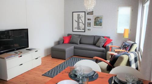 科林基拉Saunallinen kaksio, asunto Kolin Kolo的带沙发和电视的客厅