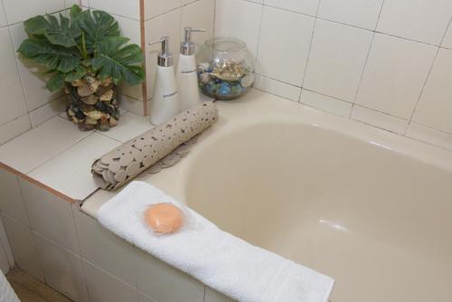 圣萨尔瓦多德朱Departamento Balcarce Jujuy 4B的浴室配有带植物的浴缸
