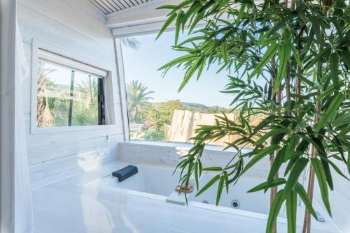 米纳Leobus-לאו באס的一间带大窗户和植物的浴室