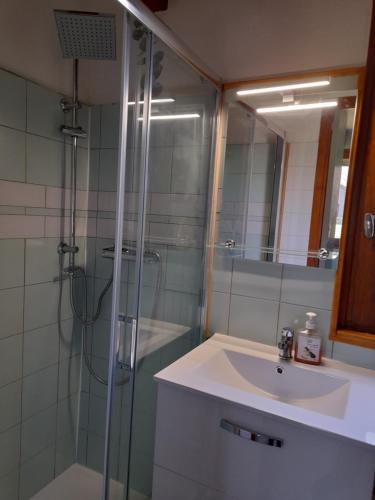 LapeyreVillage de gites Lapeyre的带淋浴、盥洗盆和镜子的浴室