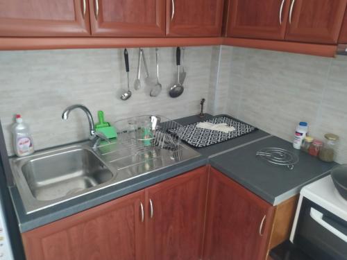比雷埃夫斯Piraeus art deco apartment的厨房配有水槽和台面