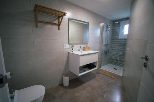 格罗韦Laxiela Apartment的一间带水槽、淋浴和卫生间的浴室