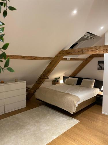 巴塞尔Eine schöne Wohnung an der Birs的阁楼上带大床的卧室