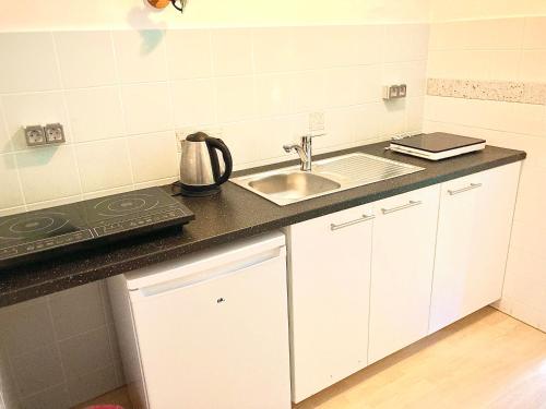 维也纳Apartment & Monteurzimmer的一间带水槽和炉灶的小厨房