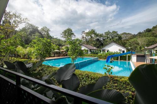 彭亨Villa Renai Resort的享有度假村游泳池的景致