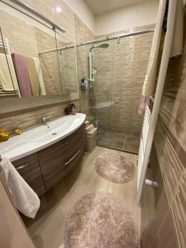 采列Robert's Apartment的带淋浴、盥洗盆和浴缸的浴室