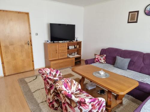 伊利扎House Osjek Ilidza的客厅配有紫色沙发和桌子