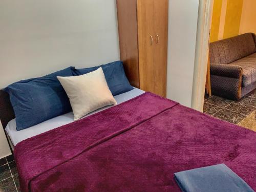普查尼Sanja apartment的床上有紫色毯子