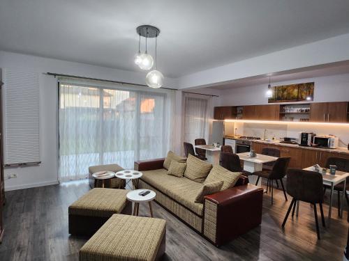 DumbrăviţaArmina's Residence 2的带沙发和桌子的客厅以及厨房。