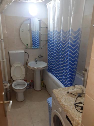 弗拉涅NIKOLIĆ APARTMAN的一间带卫生间、水槽和镜子的浴室