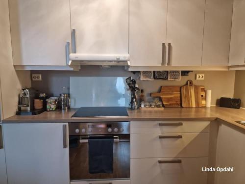 特隆赫姆Leilighet med utsikt ved bymarka的厨房配有白色橱柜和炉灶烤箱。