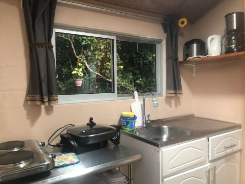 蒙泰韦尔德哥斯达黎加Lissadell Country House的厨房设有水槽和窗户。