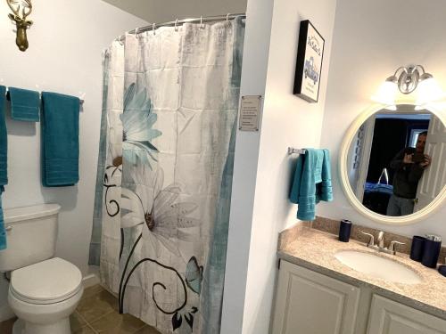 汉考克Mountain View Suite on Jiminy Peak Ski On Off -New的一间带卫生间和淋浴帘的浴室