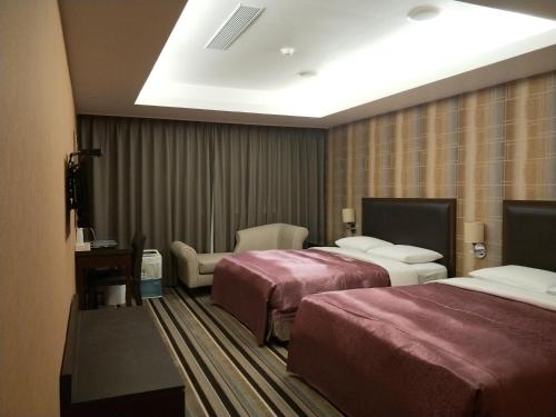 桃园市大都会旅馆 的酒店客房设有两张床和电视。