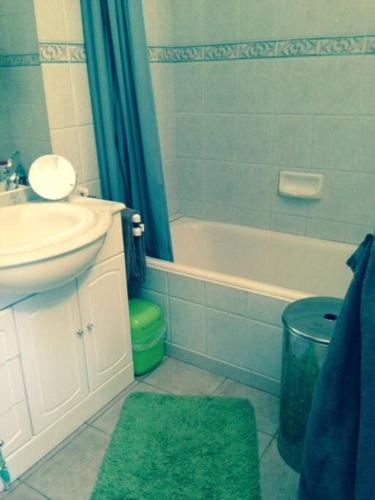 德拉吉尼昂Appartement St Léger的浴室配有盥洗盆、卫生间、浴缸和盥洗盆。