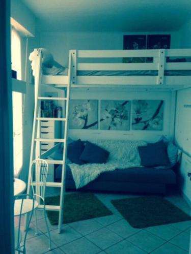 德拉吉尼昂Appartement St Léger的一间卧室配有带梯子的双层床