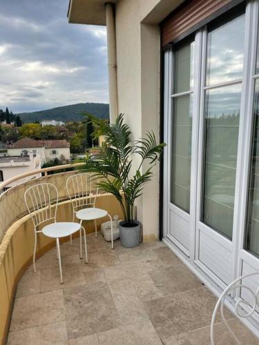 德拉吉尼昂Appartement St Léger的阳台配有两把椅子和一株植物