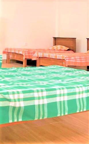 阿努拉德普勒Moderncore Hostel的一间卧室配有两张床,配有绿色和白色的棉被