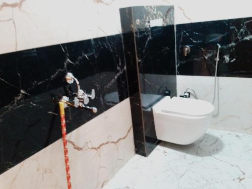 阿格拉贝德韦舍背包客旅舍的一间带水槽、镜子和卫生间的浴室