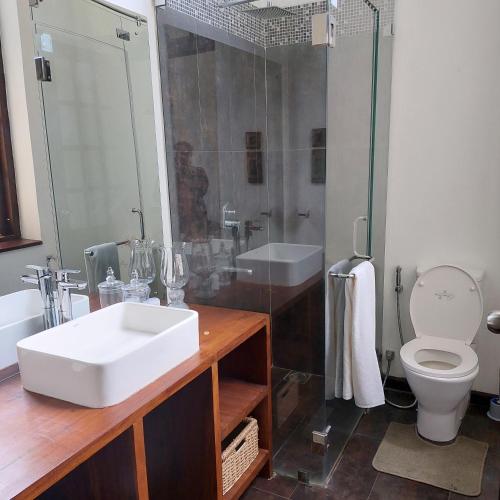 马特莱VillaEliza的一间带水槽、卫生间和淋浴的浴室