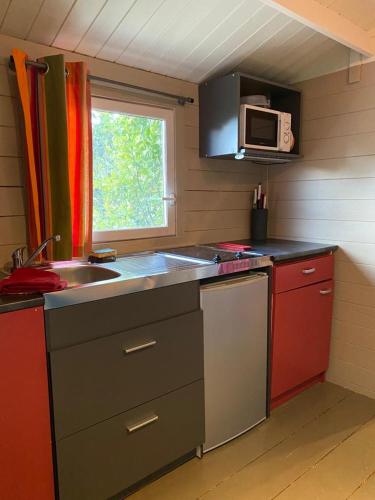 塞扬Tiny House au coeur des Combes的一间带水槽和微波炉的小厨房