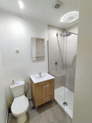 里斯本Figueira House in Beira Minho的白色的浴室设有卫生间和淋浴。