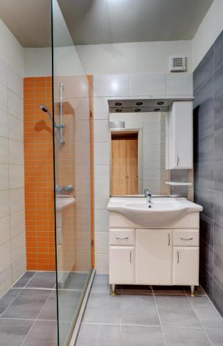 塞格德Egyetem Apartman的一间带水槽和淋浴的浴室