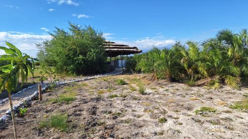 Boma la NgombeChemka Paradise Eco Lodge的海滩上带草屋顶的度假胜地
