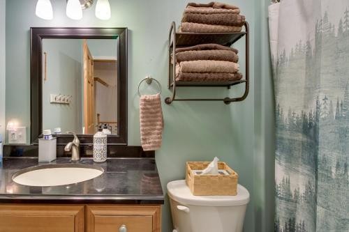 BigforkWhite Swan Lake Home with Decks and Private Beach!的一间带水槽、卫生间和镜子的浴室