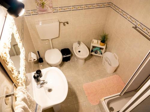 卡拉帕泰拉Casa Olívia的一间带水槽和卫生间的小浴室