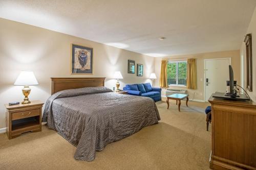 McGaheysvilleMassanuttens Shenandoah Villas by TripForth的一间卧室配有一张床、一台电视和一张沙发