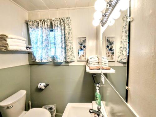温泉城#04-Adorable Large 1 Bedroom Lakeside Cottage- Pet Friendly的一间带水槽、卫生间和镜子的浴室