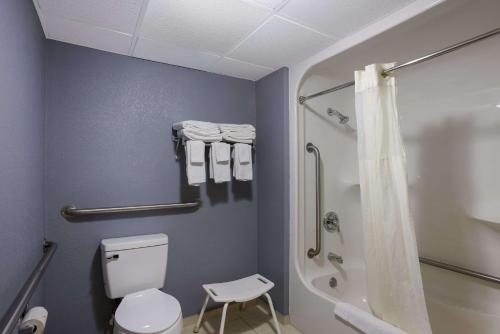 大瀑布城大瀑布城品质套房酒店的浴室配有白色卫生间和淋浴。