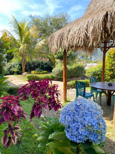 克里穆图Mahoni Guest House的种有蓝色和紫色花卉和桌子的花园