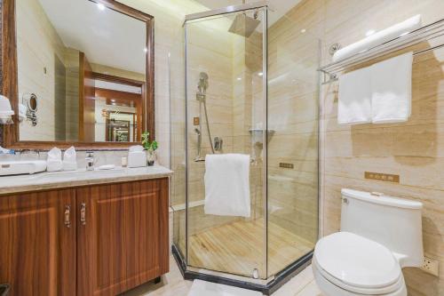 石家庄石家庄云瑞酒店（正定新区）的带淋浴、卫生间和盥洗盆的浴室