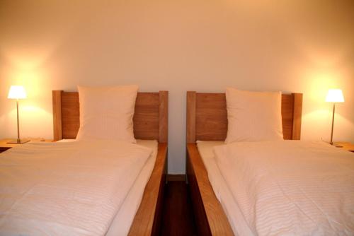 楚格Nest - Baarerstrasse 55的配有2张单人床的客房,配有2盏灯