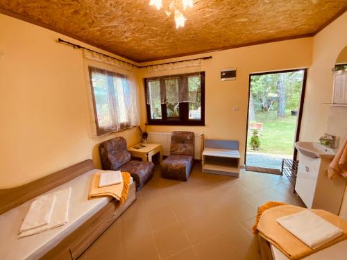 卡赞勒克Къщи за гости Армагански път的带沙发、椅子和水槽的客厅
