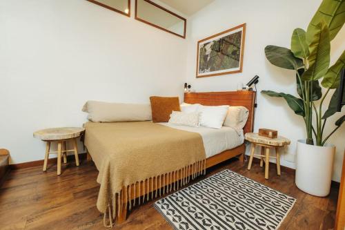 科纳The Pohaku Studio at The Koi House的一间卧室配有一张床和盆栽植物