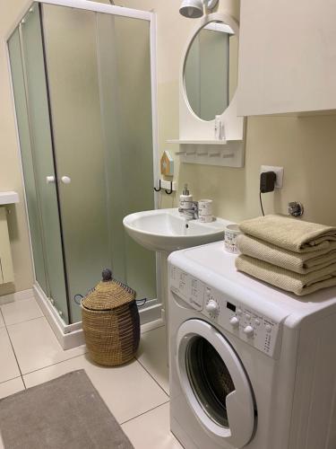 切里亚莱La Casa Bianca的一间带洗衣机和水槽的浴室