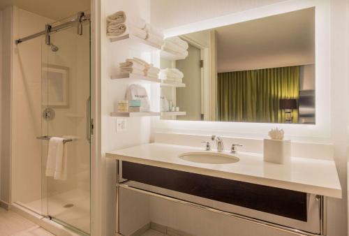 华盛顿华盛顿特/海军造船厂汉普顿套房酒店的白色的浴室设有水槽和镜子