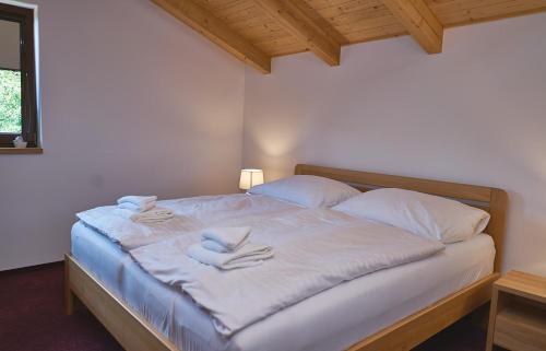 波胡达聂芝温泉城Golf Resort Lázně Bohdaneč的一间卧室配有一张带白色毛巾的床