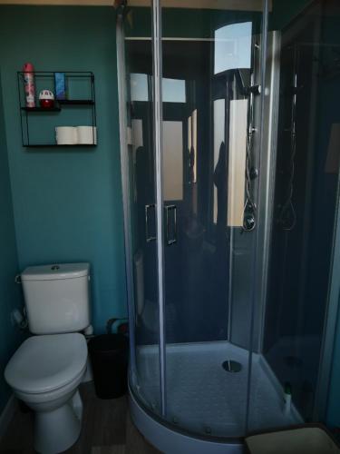 希迈Chambre Fischbach的一间带卫生间和玻璃淋浴间的浴室